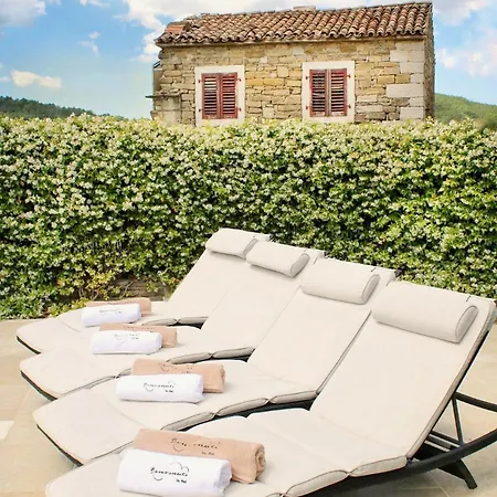 Benvenuti Near Motovun For 8 People - Pet Friendly With Salt - Water Pool Villa Kaldir